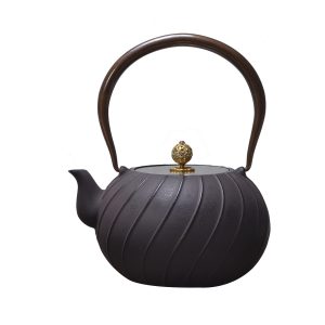 Daiji unglazed cast iron teapot